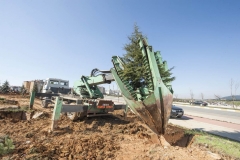 2500 lük Makine ile Ağaç Nakil - 19