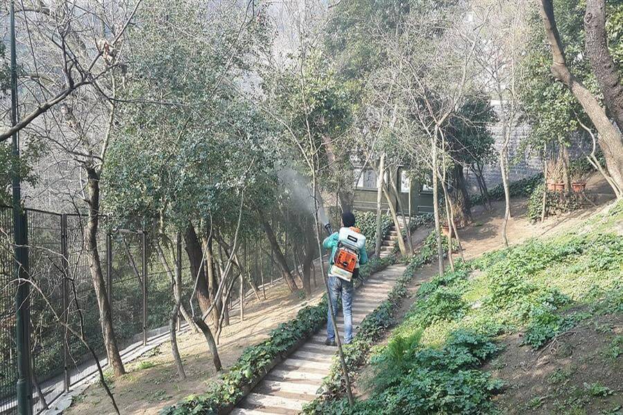 Bahve ve Ağaç Bakımı