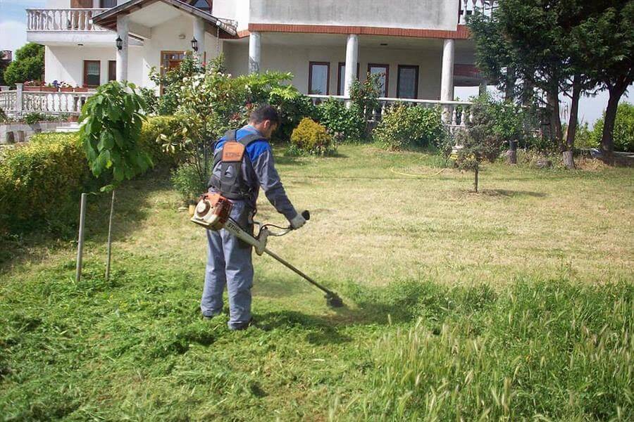 Bahve ve Ağaç Bakımı