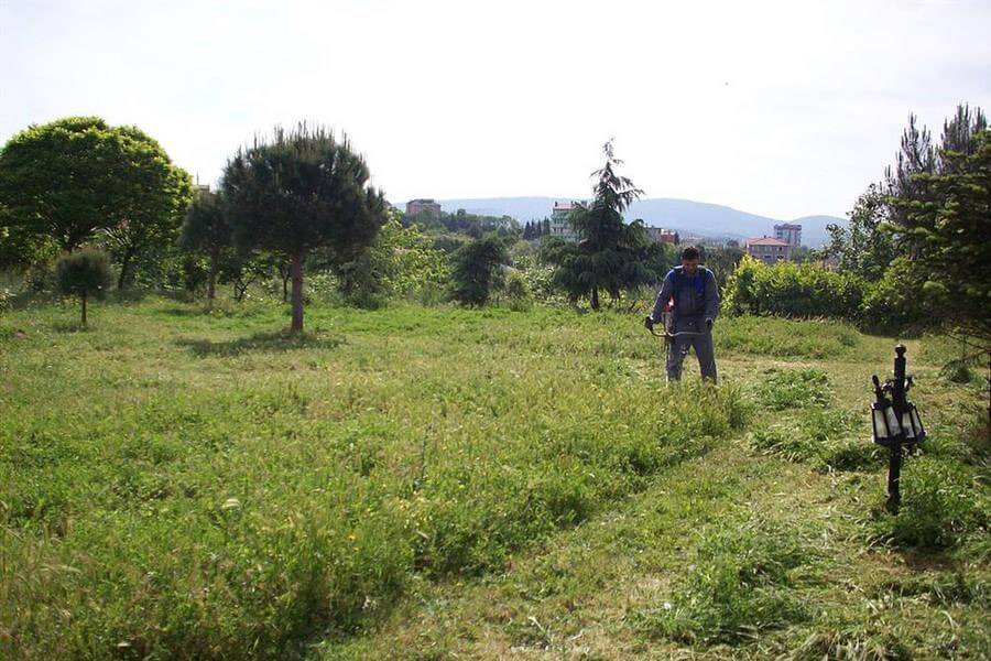 Bahve ve Ağaç Bakımı