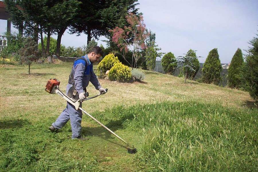 Bahve ve Ağaç Bakımı