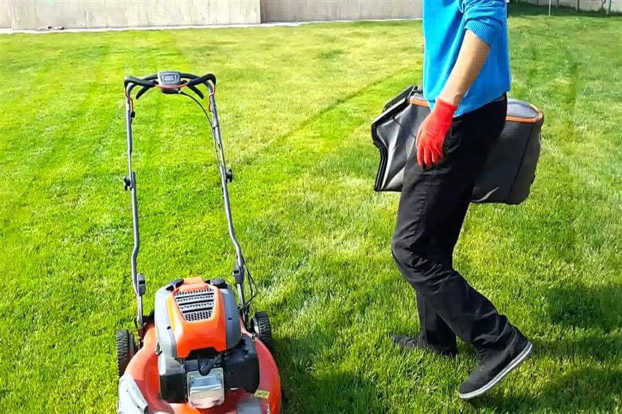 Çim Biçimi ve Bakımı