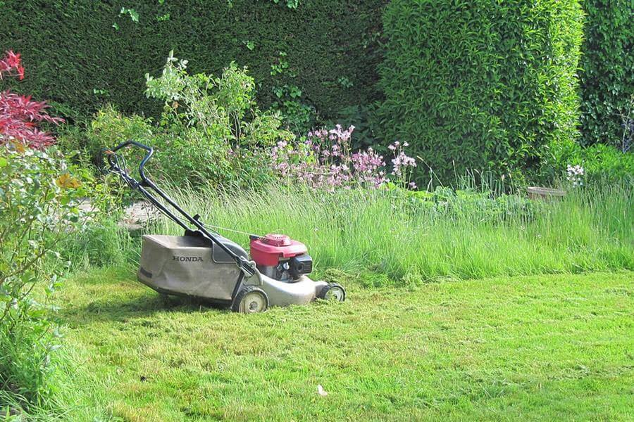 Çim Biçimi ve Bakımı